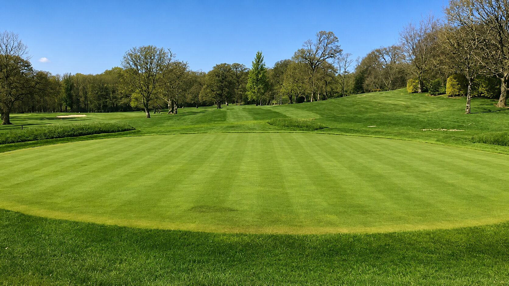 Parkland fairway at Virginia Golf Club