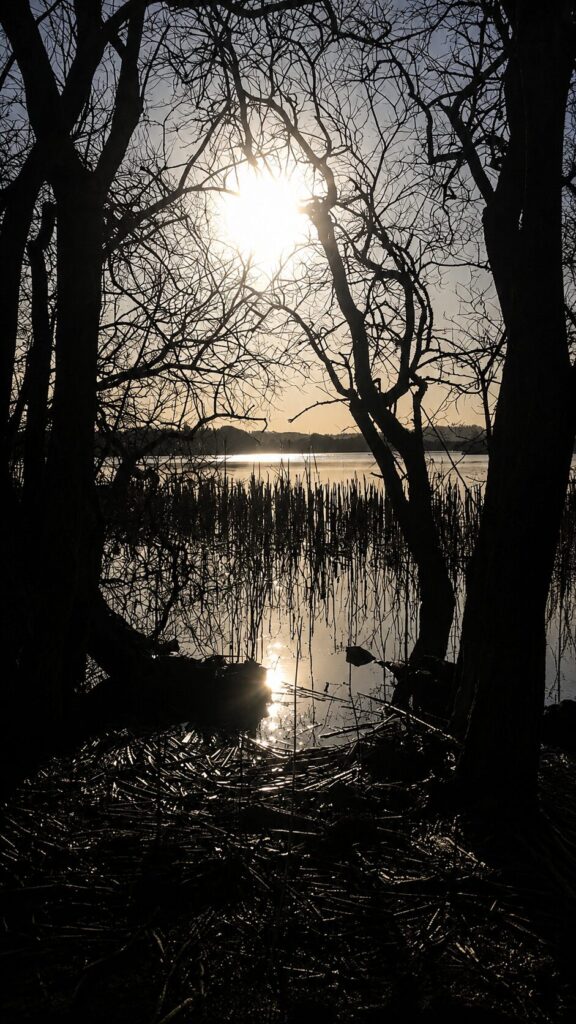 Sunset over Lough Ramor through the trees
